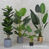uploads/erp/collection/images/Home Garden/dgjiawang/XU0612661/img_b/XU0612661_img_b_2